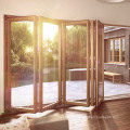 Teak wooden color door and window steel frame design